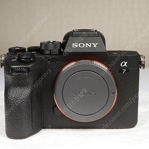 소니 A7M4 (8420컷)