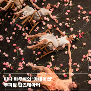 피나 바우쉬의 '카네이션' 11/6(목) - VIP석 1매, 1매