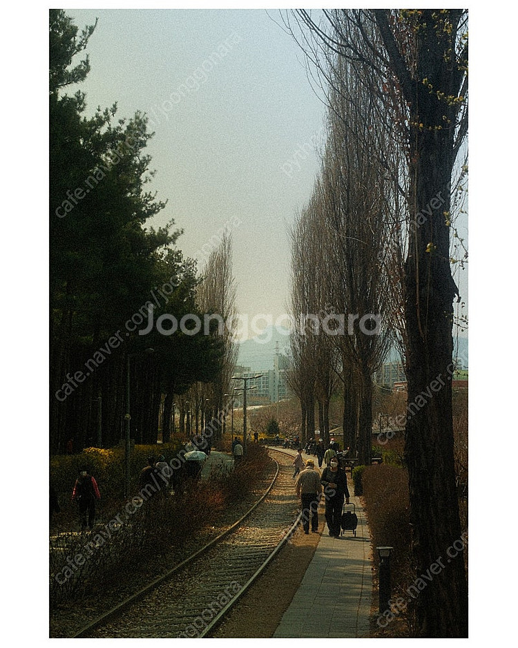 후지필름 X100VI 블랙 ( Fuji Film X10...--6