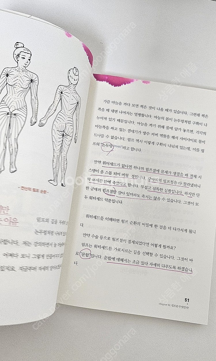 림프의 기적 -박정현지음--1