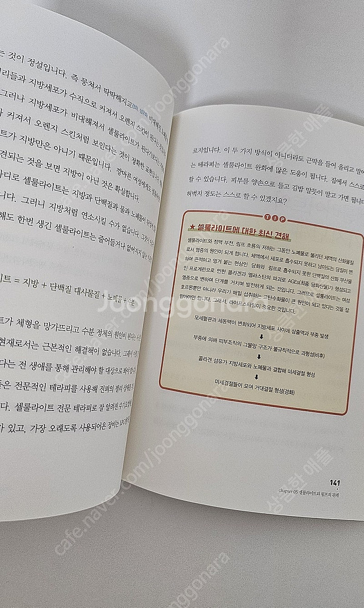 림프의 기적 -박정현지음--4