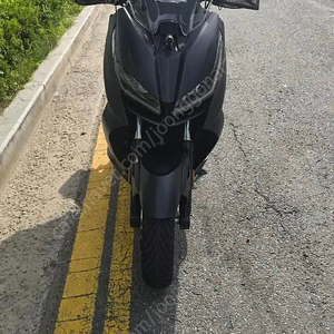 존테스310 d 24년 팝니다