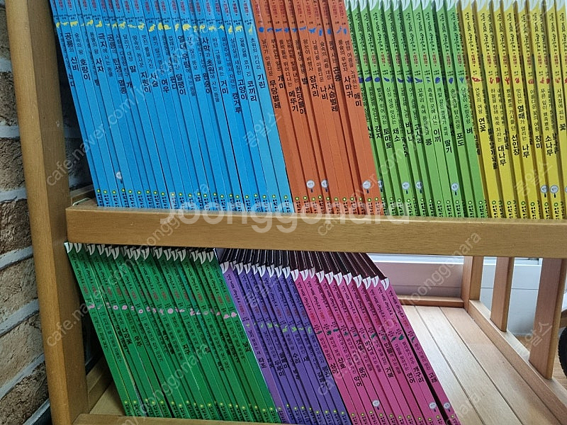 탄탄와이드 자연속으로 완결판 100권--0