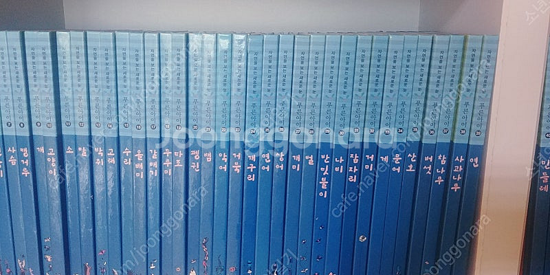 새책 중고전집 초등학생 학습 자연을 보는새로운눈 푸른아...--0