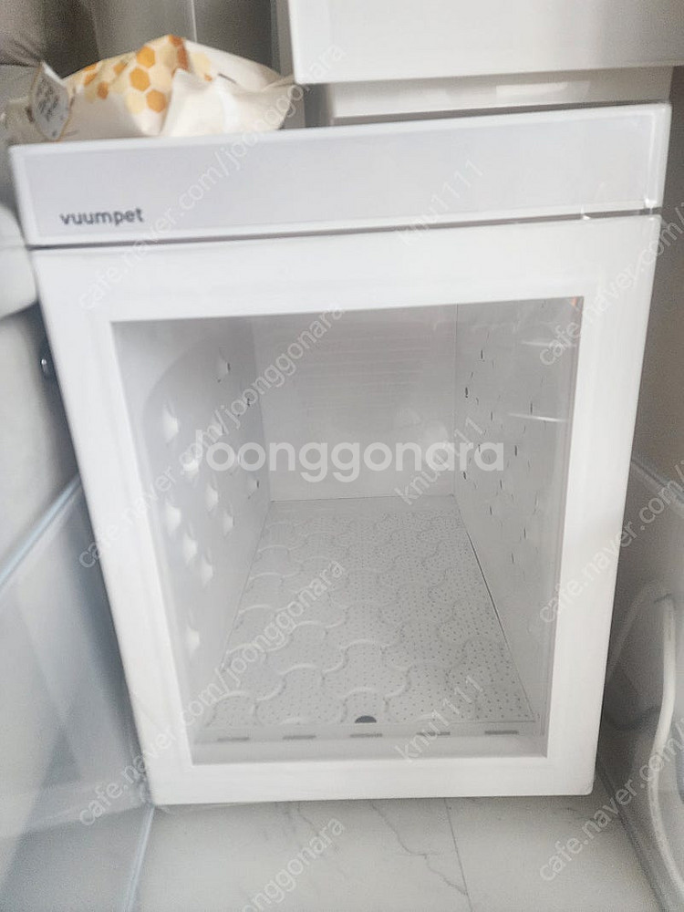 붐펫 단델리온 드라이룸 (25년7월 제품 신상) 1회사...--1