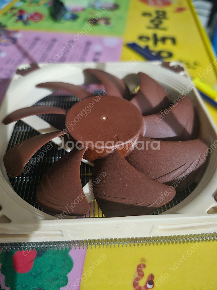 ASRock DeskMini X600+64GB+쿨러--2