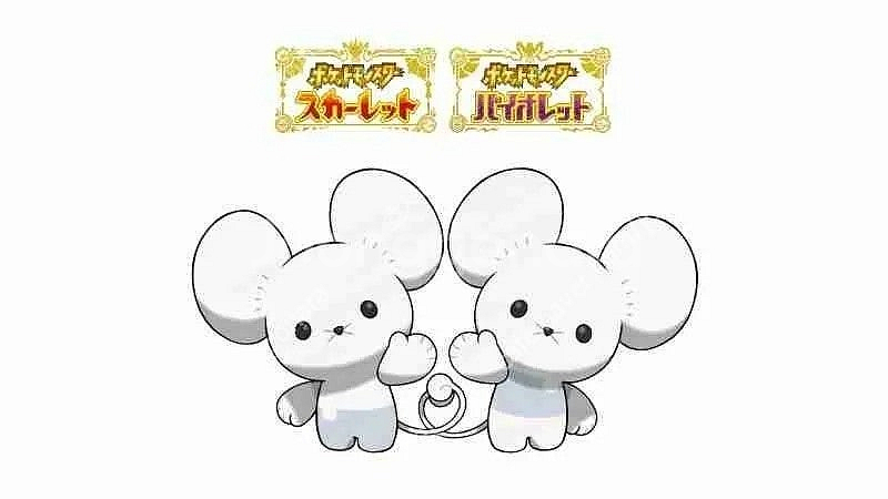 포켓몬스터 두리쥐 코드--0