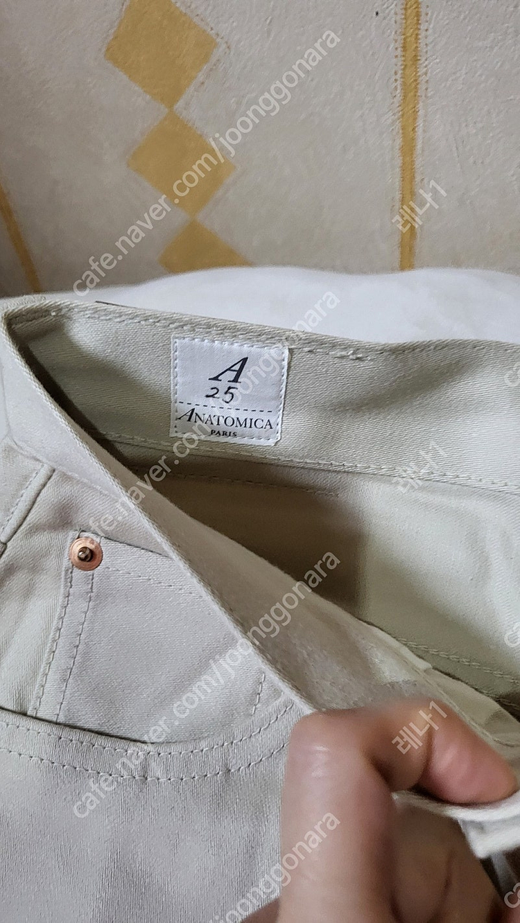 아나토미카 이미지