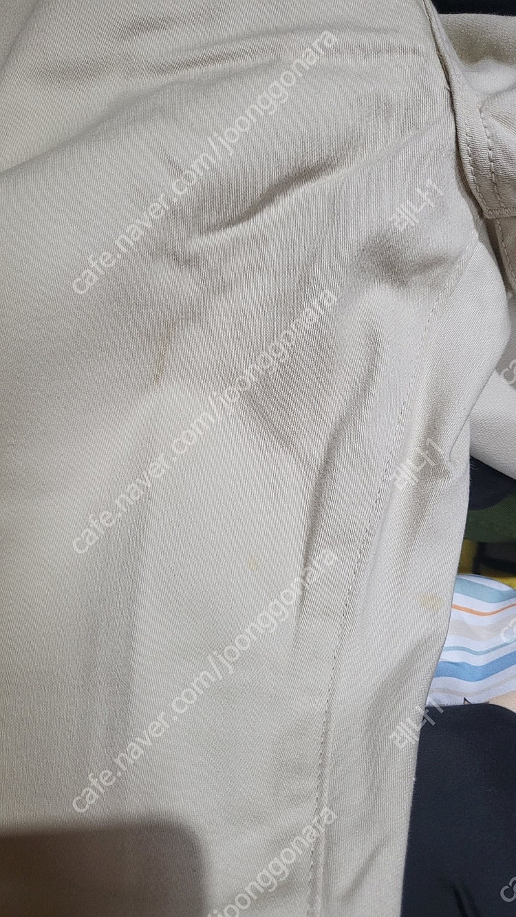 아나토미카 이미지