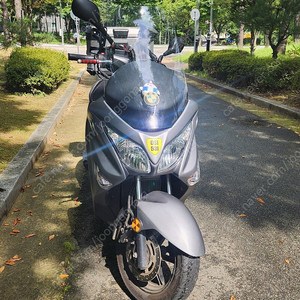 버그만200