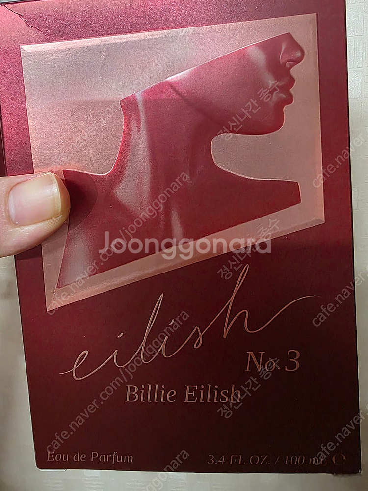빌리 아일리쉬--0
