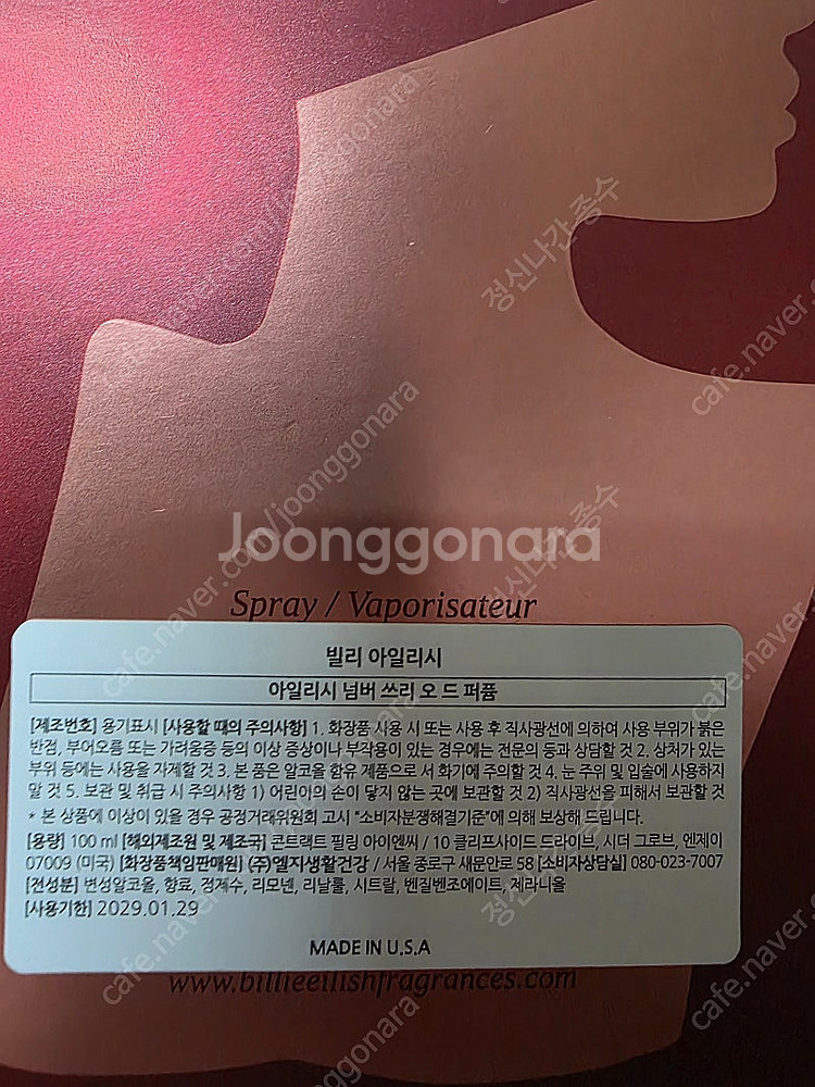 빌리 아일리쉬--1