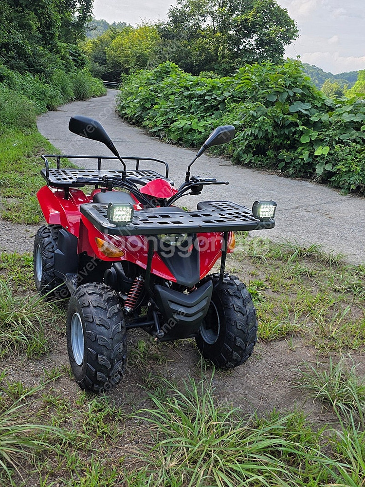 올코트100 사발이 ATV--4