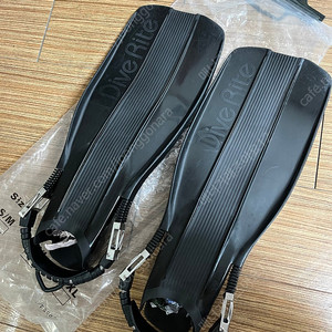 다이브라이트 xt 핀 M사이즈