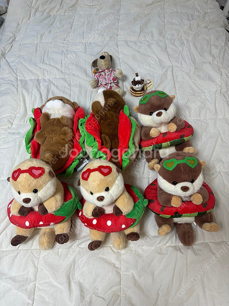 가격인하 중형인형 소형인형 판매합니다--0