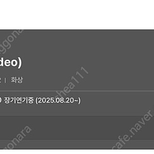 민트영어 전화영어 화상 25회
