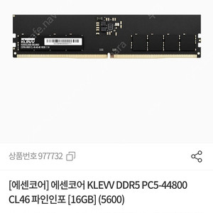 ddr5 메모리 16기가