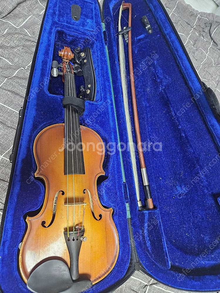 바이올린 1/4사이즈 DIVA VIOLIN 어린이바이올...--0