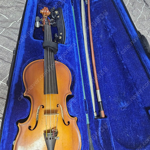 바이올린 1/4사이즈 DIVA VIOLIN 어린이바이올린 아동용 어린이용