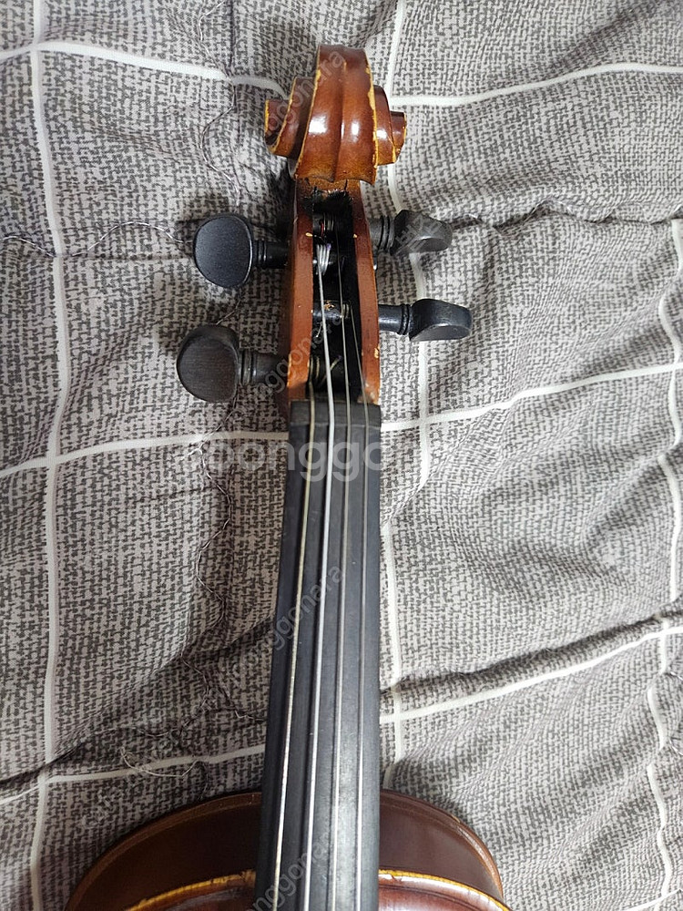 바이올린 1/4사이즈 DIVA VIOLIN 어린이바이올...--5