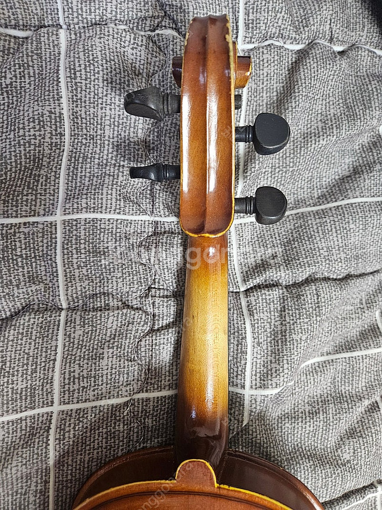 바이올린 1/4사이즈 DIVA VIOLIN 어린이바이올...--7