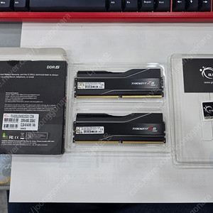 지스킬 DDR5 64G(32G×2) 6000 CL30 TRIDENT Z5 NEO 논RGB