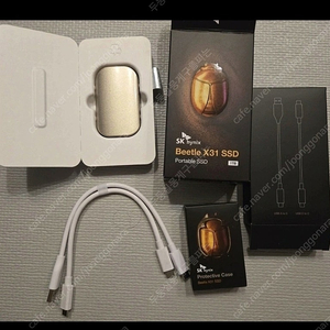 정품 SK하이닉스 Beetle X31 SSD 1TB