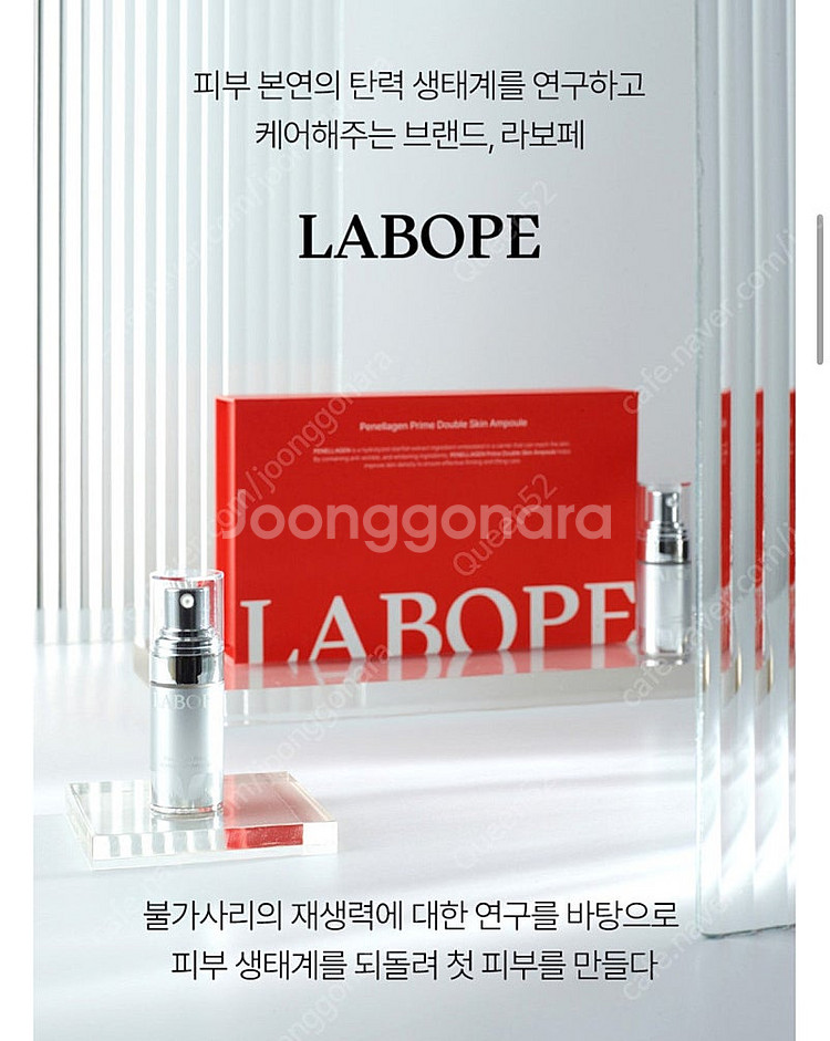 라보페 페넬라겐 프라임 더블 스킨 불가사리 콜라겐 앰플...--2