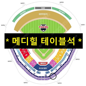 [기아 vs LG] 8월 22일(금) 광주 챔피언스필드 기아KIA 타이거즈 vs LG 트윈스 메디힐 테이블석 4열 2연석 판매 합니다.