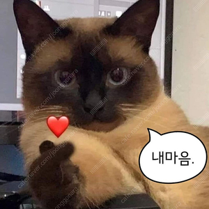 대성마이맥 대성 패스 공유