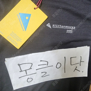 클라터뮤젠 도게르 반팔 / 기능성 반팔 / 새제품