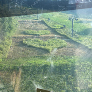 무신사 대리 75프로 구매합니다