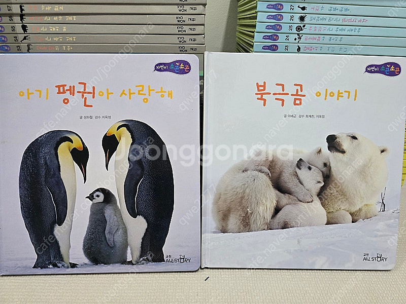 *유아 자연관찰* 교원 자연이 소곤소곤 - 완벽구성--5