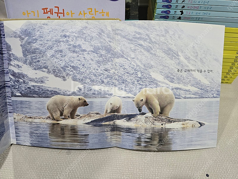 *유아 자연관찰* 교원 자연이 소곤소곤 - 완벽구성--6