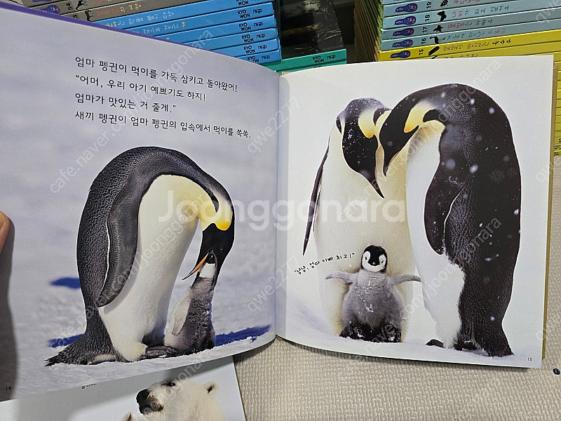 *유아 자연관찰* 교원 자연이 소곤소곤 - 완벽구성--7