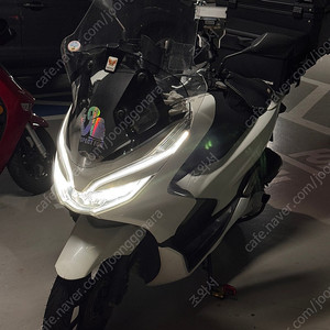 PCX 125 19년식 팝니다 (수원) 35110km