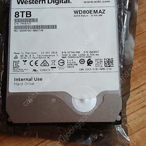 웨스턴 디지털 8TB
