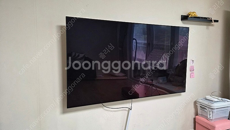 LG OLED 65인치 TV--0