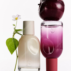 Glossier 글로시에 향수 you doux , you reve