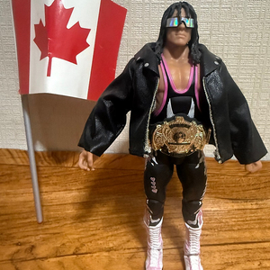 WWE UFC 피규어