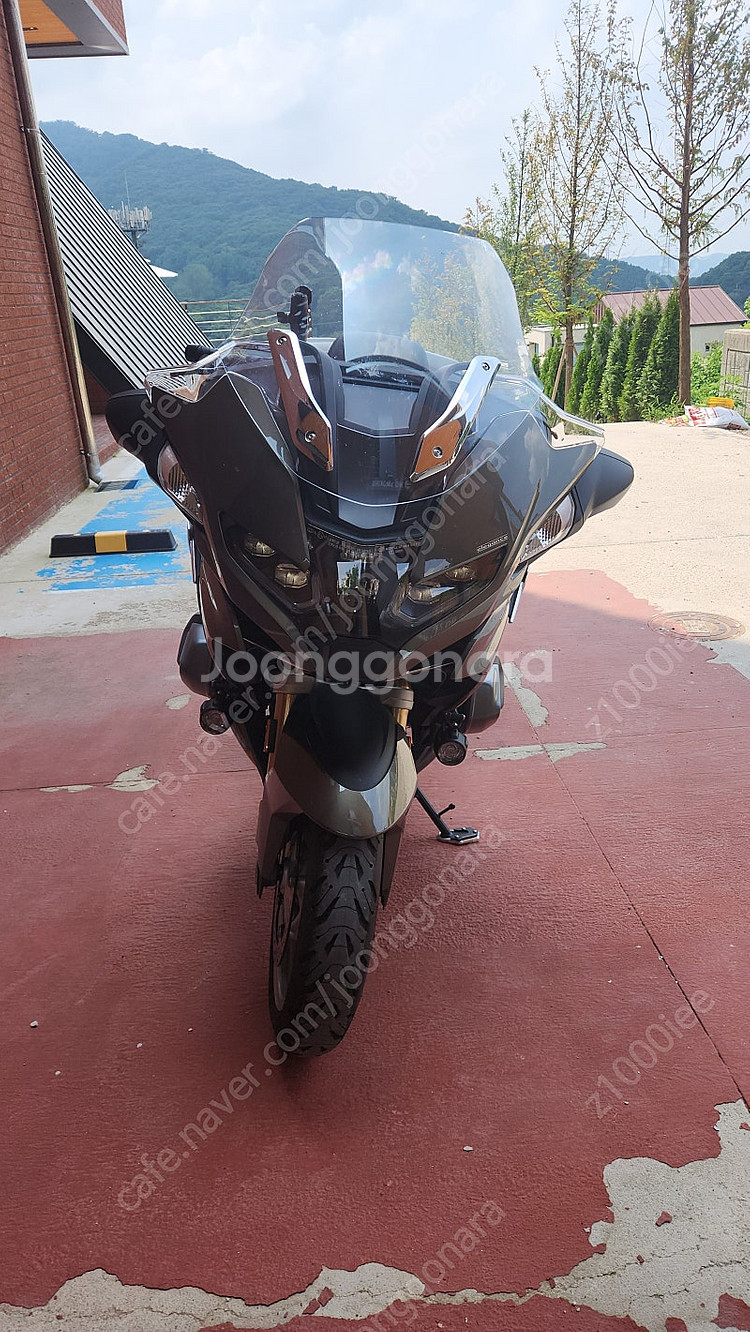Bmwr1250rt--1