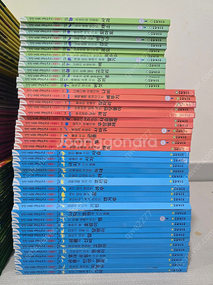 탄탄 와이드 자연속으로 완결판--2