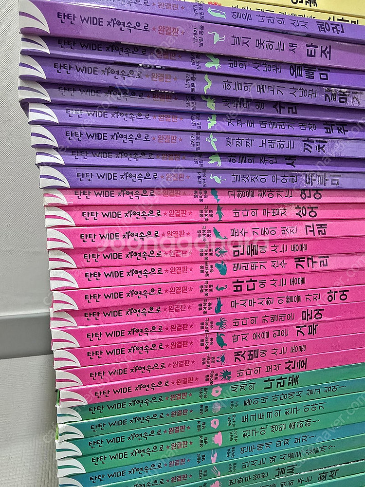 탄탄 와이드 자연속으로 완결판--4