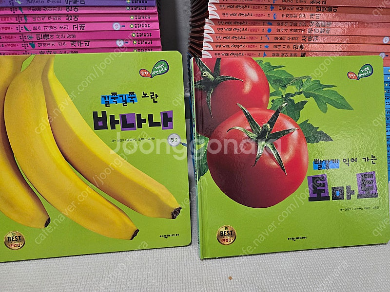 탄탄 와이드 자연속으로 완결판--5