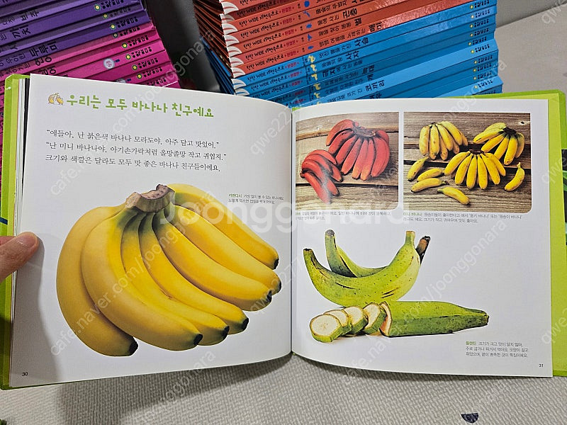 탄탄 와이드 자연속으로 완결판--8