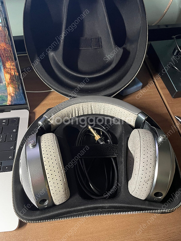 Focal Clear OG 포칼 클리어 OG 55만--1