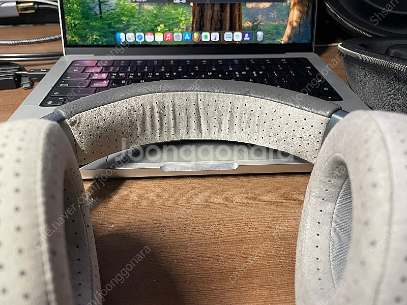 Focal Clear OG 포칼 클리어 OG 55만--2