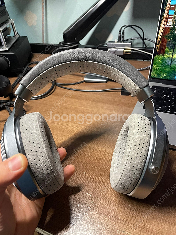 Focal Clear OG 포칼 클리어 OG 55만--5