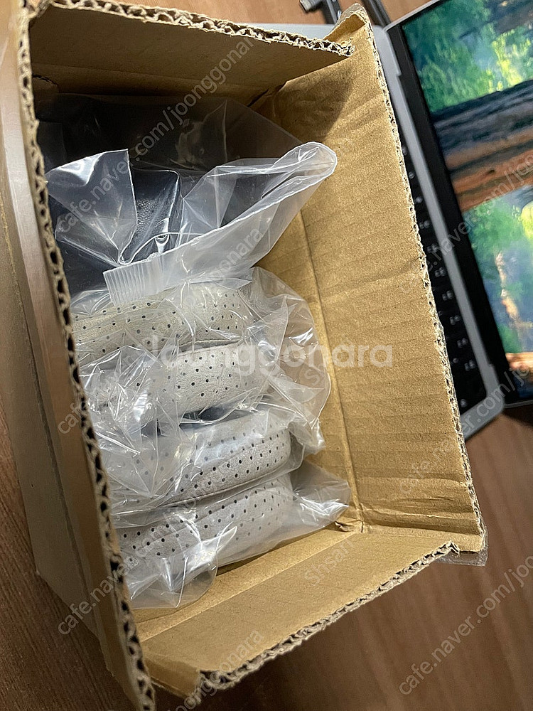 Focal Clear OG 포칼 클리어 OG 55만--8