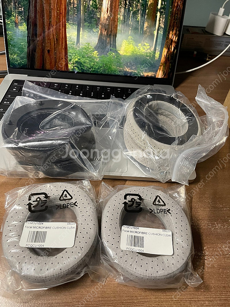 Focal Clear OG 포칼 클리어 OG 55만--9